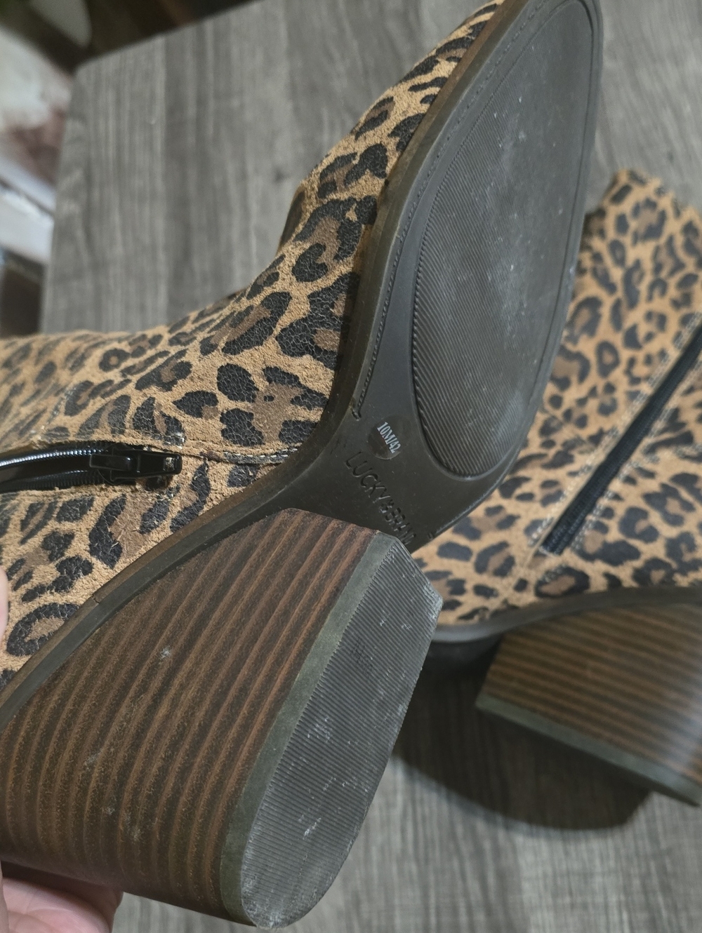 Lucky Brand Leopard Print Mid-Calf Women's Boots - Brown - Picture 4 of 5